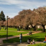 seattle-community