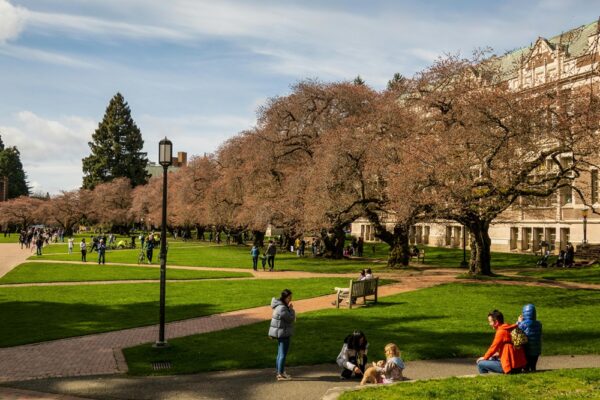 How Seattle Residents Can Volunteer with Community-Minded Businesses